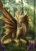Grußkarte Friendly Dragon