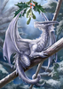 Grußkarte Snow Dragon